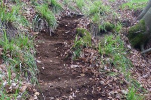 Chemin Felsennest 1 après