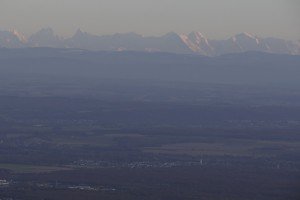 DSC01450