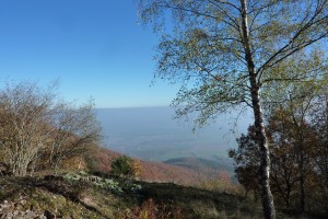 HWK_151031 072
